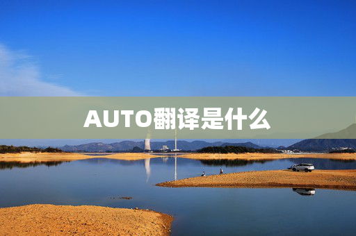 AUTO翻译是什么