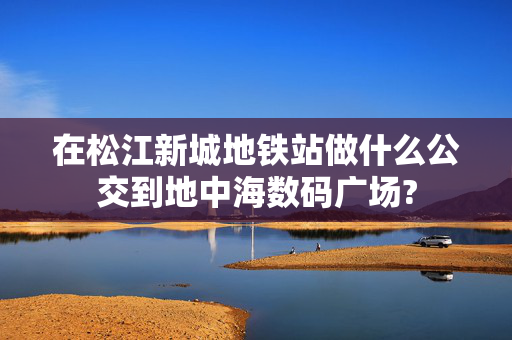 在松江新城地铁站做什么公交到地中海数码广场?