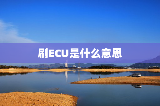 刷ECU是什么意思