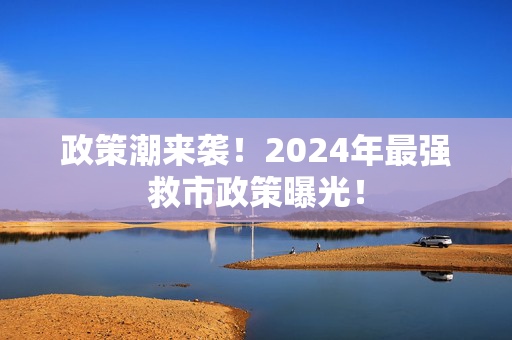 政策潮来袭！2024年最强救市政策曝光！