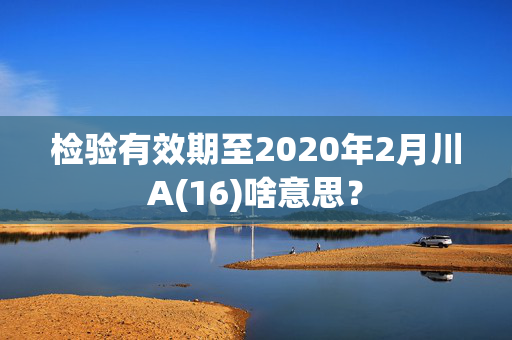 检验有效期至2020年2月川A(16)啥意思？