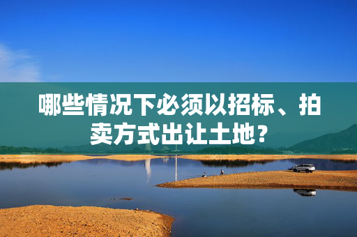 哪些情况下必须以招标、拍卖方式出让土地？