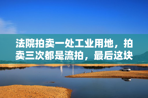 法院拍卖一处工业用地，拍卖三次都是流拍，最后这块土地怎么处理？？第一次的拍卖报价没卖成流拍，又进行