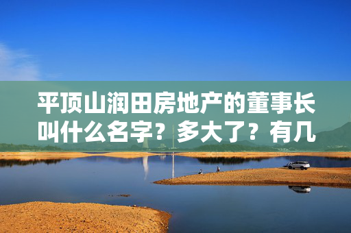 平顶山润田房地产的董事长叫什么名字？多大了？有几个孩子？