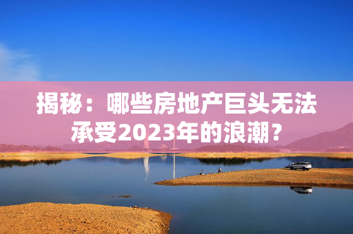 揭秘：哪些房地产巨头无法承受2023年的浪潮？