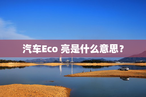 汽车Eco 亮是什么意思？