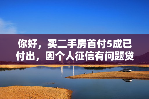 你好，买二手房首付5成已付出，因个人征信有问题贷款批不下来，没有