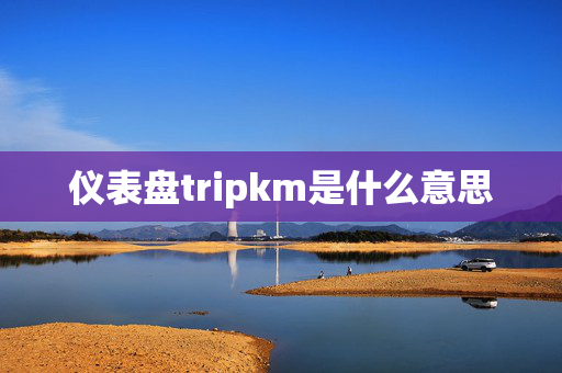 仪表盘tripkm是什么意思