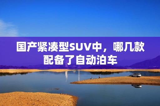 国产紧凑型SUV中，哪几款配备了自动泊车