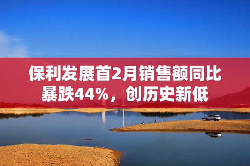 保利发展首2月销售额同比暴跌44%，创历史新低