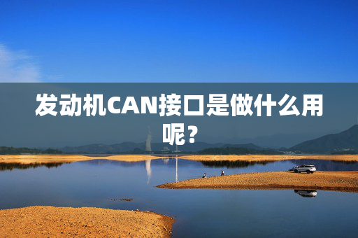 发动机CAN接口是做什么用呢？