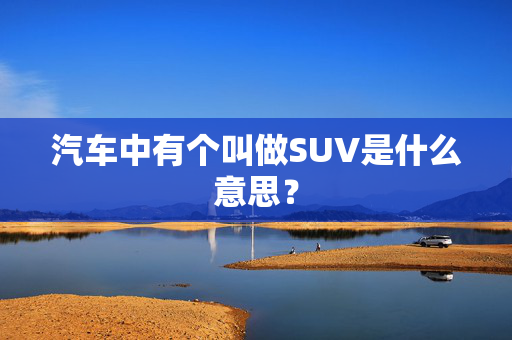 汽车中有个叫做SUV是什么意思？