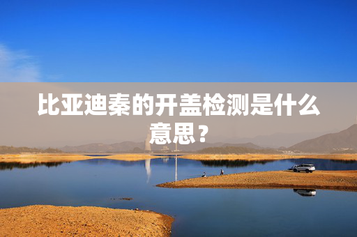 比亚迪秦的开盖检测是什么意思？