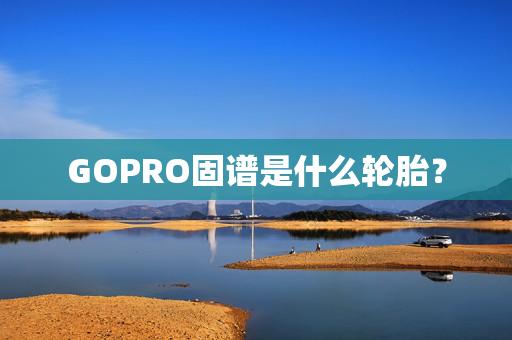 GOPRO固谱是什么轮胎？