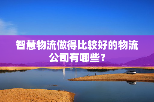 智慧物流做得比较好的物流公司有哪些？