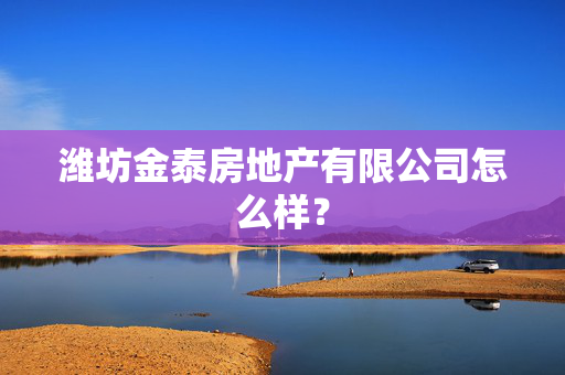 潍坊金泰房地产有限公司怎么样？