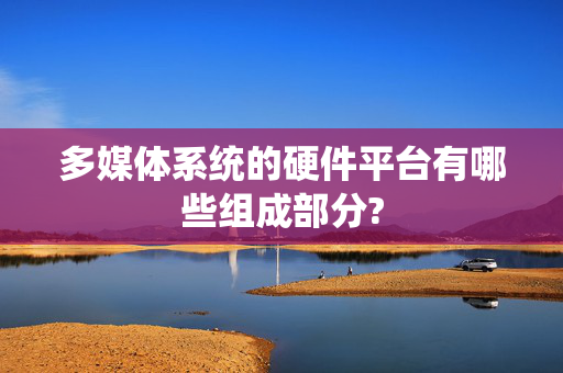 多媒体系统的硬件平台有哪些组成部分?