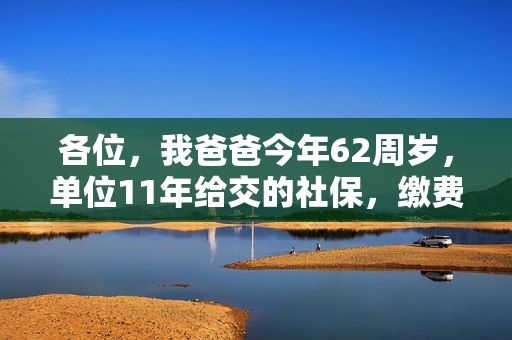 各位，我爸爸今年62周岁，单位11年给交的社保，缴费未到15年，可以一次补缴嘛？改成农村养老呢？