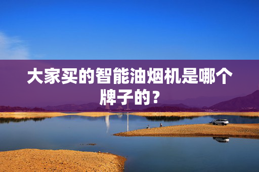 大家买的智能油烟机是哪个牌子的？