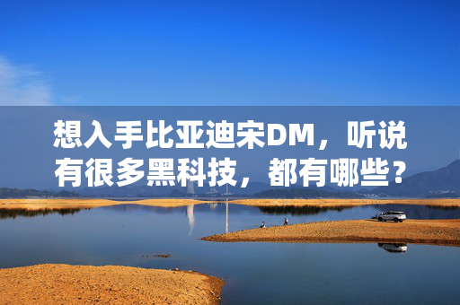 想入手比亚迪宋DM，听说有很多黑科技，都有哪些？