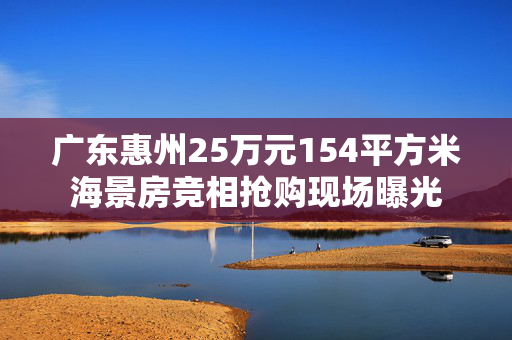 广东惠州25万元154平方米海景房竞相抢购现场曝光