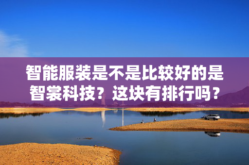 智能服装是不是比较好的是智裳科技？这块有排行吗？