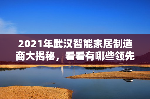 2021年武汉智能家居制造商大揭秘，看看有哪些领先企业