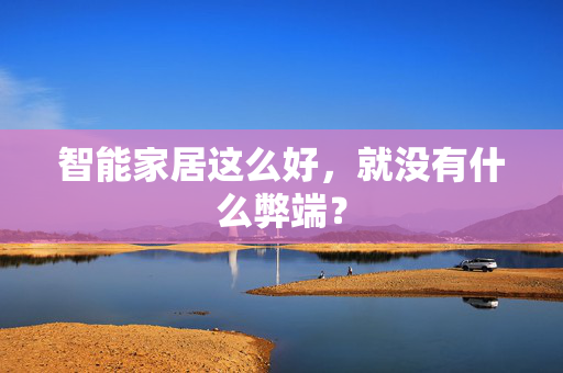 智能家居这么好，就没有什么弊端？