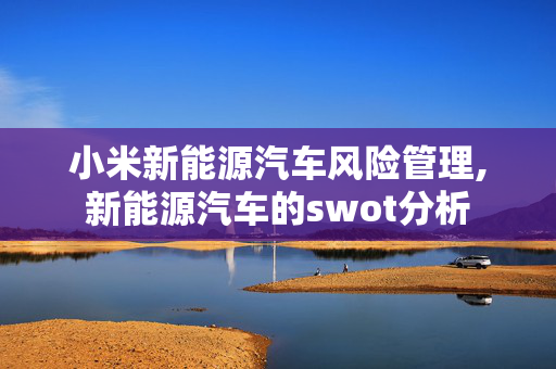 小米新能源汽车风险管理,新能源汽车的swot分析