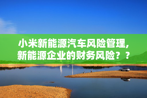 小米新能源汽车风险管理,新能源企业的财务风险？？