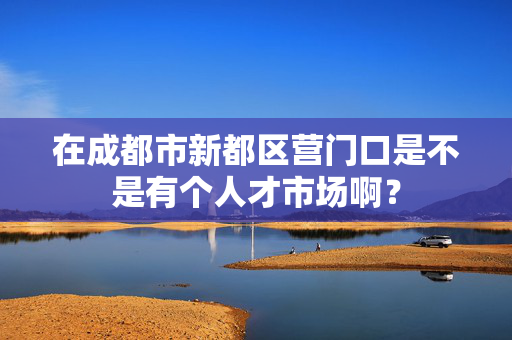 在成都市新都区营门口是不是有个人才市场啊？