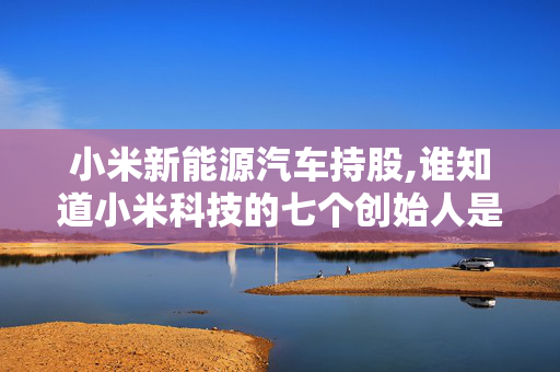 小米新能源汽车持股,谁知道小米科技的七个创始人是不是在小米科技里面都是有投资的股东？