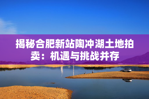 揭秘合肥新站陶冲湖土地拍卖：机遇与挑战并存