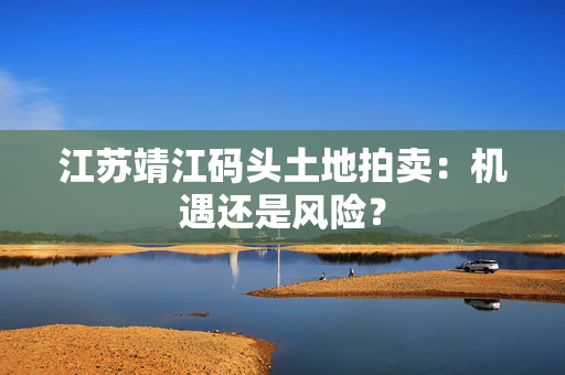 江苏靖江码头土地拍卖：机遇还是风险？