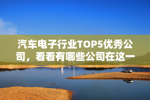 汽车电子行业TOP5优秀公司，看看有哪些公司在这一领域处于领先地位