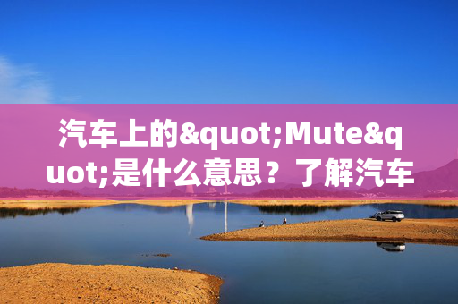 汽车上的"Mute"是什么意思？了解汽车多功能方向盘上的Mute功能