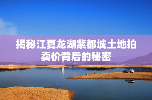 揭秘江夏龙湖紫都城土地拍卖价背后的秘密