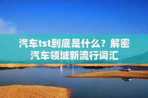 汽车tst到底是什么？解密汽车领域新流行词汇