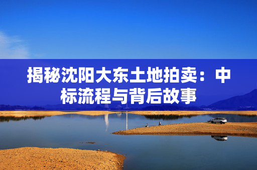 揭秘沈阳大东土地拍卖：中标流程与背后故事