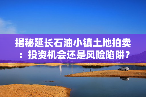 揭秘延长石油小镇土地拍卖：投资机会还是风险陷阱？