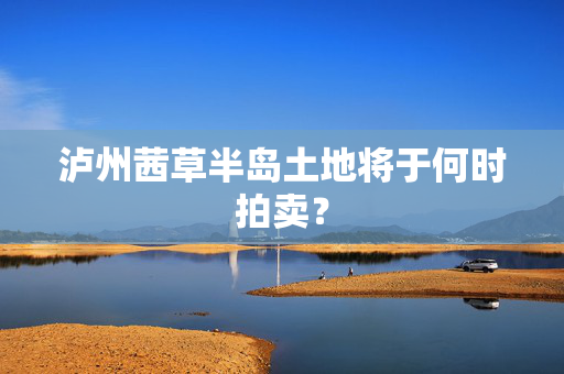 泸州茜草半岛土地将于何时拍卖？