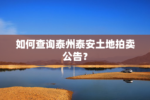 如何查询泰州泰安土地拍卖公告？