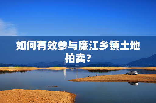 如何有效参与廉江乡镇土地拍卖？