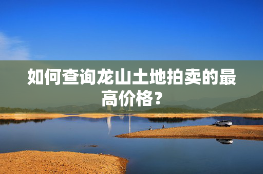 如何查询龙山土地拍卖的最高价格？