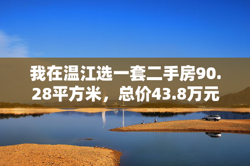 我在温江选一套二手房90.28平方米，总价43.8万元。请问要缴纳多少税费、担保费、公证费、评估费等各项费用