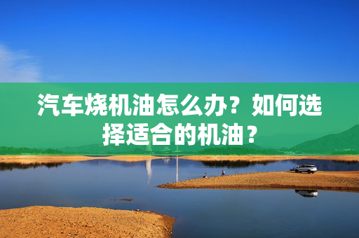 汽车烧机油怎么办？如何选择适合的机油？