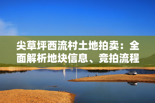 尖草坪西流村土地拍卖：全面解析地块信息、竞拍流程及风险分析