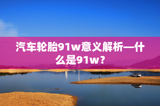 汽车轮胎91w意义解析—什么是91w？