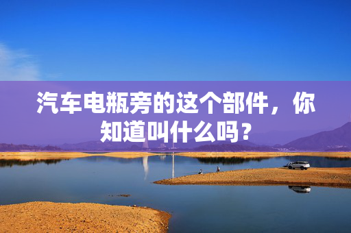 汽车电瓶旁的这个部件，你知道叫什么吗？