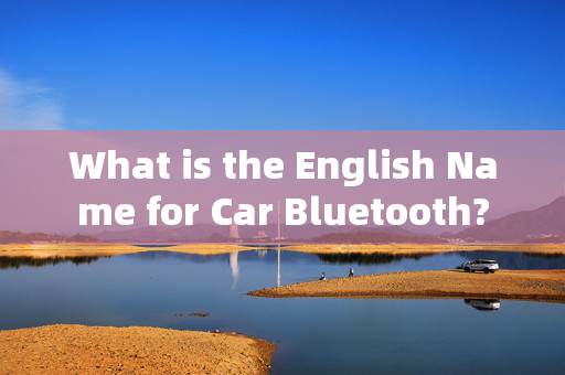 What is the English Name for Car Bluetooth?